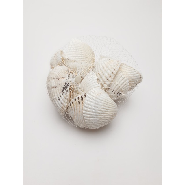 SHARI DENİZ KABUĞU 200GR  KL:200